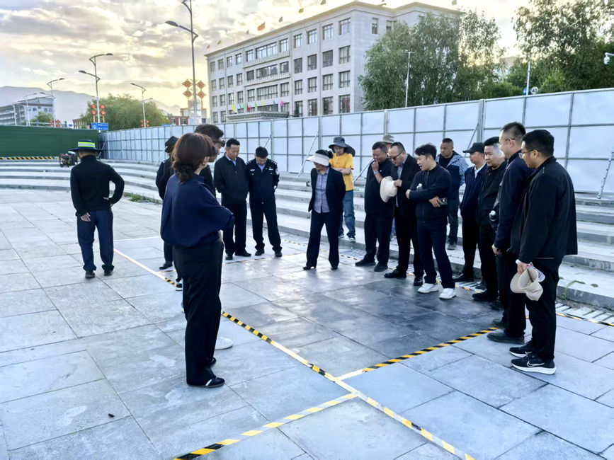 相關部門調研現場。拉薩高新區市政市容管理局供圖