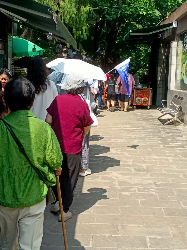 景區(qū)出入口處因?yàn)閾矶屡牌痖L隊(duì)。受訪者供圖